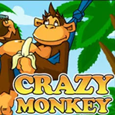 Crazy monkey